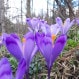 gallery-3