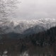 gallery-5
