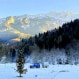 gallery-6